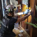 이엔에스 이미지