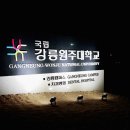 저기비출장손세차 | 집이라는 행복을 느끼게 된 한 주의 일상(~18. 03. 04)