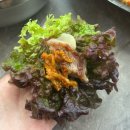 돈가마니 이미지