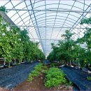 솔밭농장 이미지