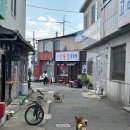 송진포항 | 1박2일 포항 태교여행(1일차)
