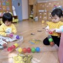 숲속산새소리어린이집 | [천왕숲어린이집/산새소리반(1세)]볼풀 공으로 놀이해요🐛