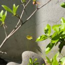 클래식피부과의원 이미지