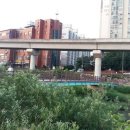 경안천 유방동 이미지