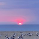 해뜸이야기 이미지