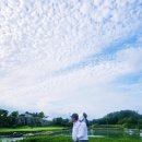 옥암로 96번길 15 | 경남 남해 가볼만한곳 남해 바다 펜션 가족여행 숙소 추천 내돈내산 등 best 3 여기 모르면 손해!