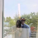미술관원주단계점 | 봄 원주, 여행기록 - 뮤지엄산, 카페테라스, 이배 전시