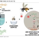 노마축산 티스토리