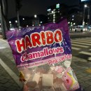 뉴동아마트 | 세곡 자곡 복정동 곱창 &amp; 순대차 내돈내산 후기