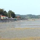 대포갯벌 이미지