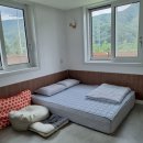 바우하우스 105 이미지