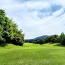 그린파크골프랜드 이미지