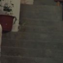 마이웨이 이미지