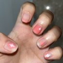 명훈농장 | 이게 인생이야 스생이야