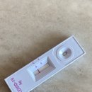 곤지암 화담숲 아르바이트 일기/지원부터 기숙사 입실, 화담숲 알바후기까지 (번외 먹부림)