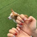 네일스튜디오노야우