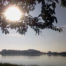 경포의하루 이미지