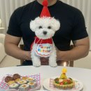 도그야미 이미지