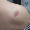 화순 미 의원 네이버블로그