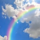 영성 의료기기 이미지