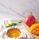 가봄호텔 이미지