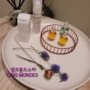 펜트라우스명품세탁 | 공덕 피부관리 생크몽드스파 프랑스 최고급 스파 추천