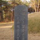 GR(장성군)-[갈재로]-하-3 | 제주양씨(濟州梁氏) 만용(曼容)公의 묘.