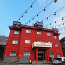 양평애견택시 이미지