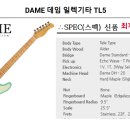 데임 이미지