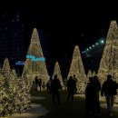 오동동177 이미지