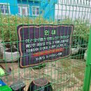 봉산농장 이미지