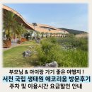 서해안 서천국립생태원 에코리움 아이랑기차여행 서천여행지 추천 / 부모님 아이랑 여행