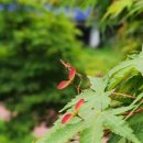 뚤레뚤레 이미지