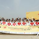 신정태양광발전소 이미지