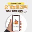 유기농트래픽