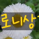 여름상점 이미지