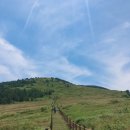 제주언니 이미지