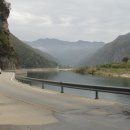 천연머리염색 전문점 이미지