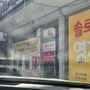 백곰세탁 | [🐻‍❄️-후기]오이스터3 디럭스 샴페인샌드 당근, 세탁맡긴후기