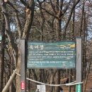 청계산 옥녀봉 등산 후기: 등린이도 쌉가능한 초보자 추천 코스