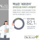 더샵헤어닥터 | 제 머리카락에 다시 숲이 생겼어요 2030 인천탈모관리 솔직 후기