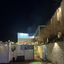 논산애견 | [애견동반 펜션] 논산 프리독펜션 방문 후기