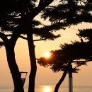 펜션 이상한 앨리스 이미지