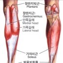 오롯이필라테스