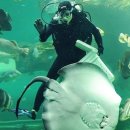 동산게임랜드 이미지