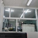 댕댕이 이발소 | 친절하고 강아지 미용 잘 해주는 I 청주/옥산 I 댕댕이이발소