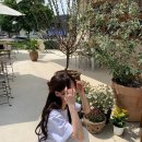 과일가족
