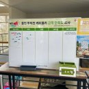 왕피천케이블카 울진여행 필수코스 추천 후기