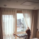 케니스테이제주서귀포 이미지