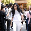 티아라 서울경제